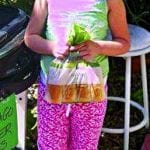 article image - 